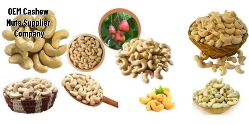 Agri Export Supplier and Agri Production Services: Enhancing Global Agricultural Trade 1 5 1